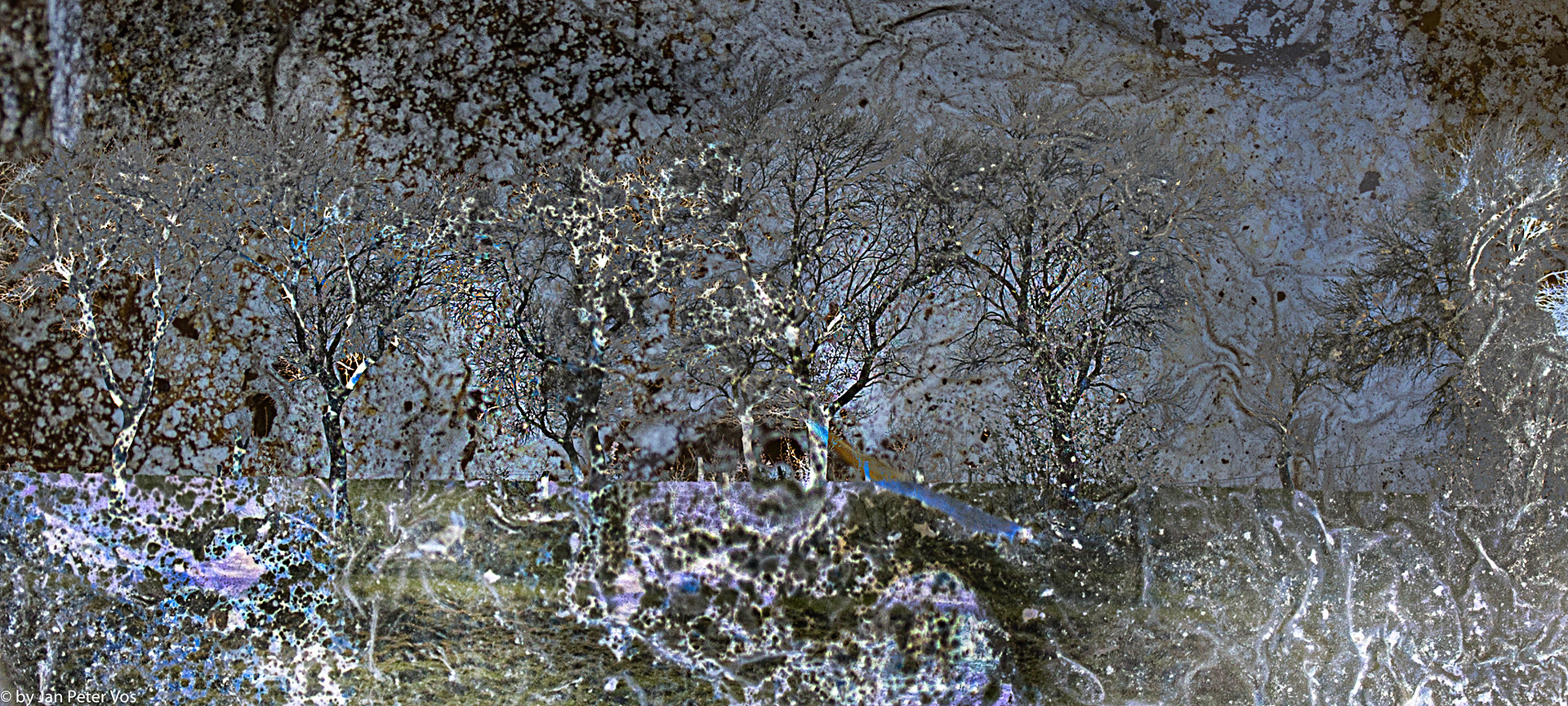 Winter, 404706-1