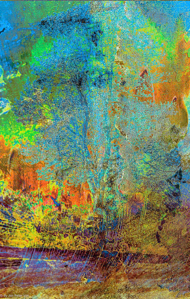 Reflections of a Tree, 400969-103