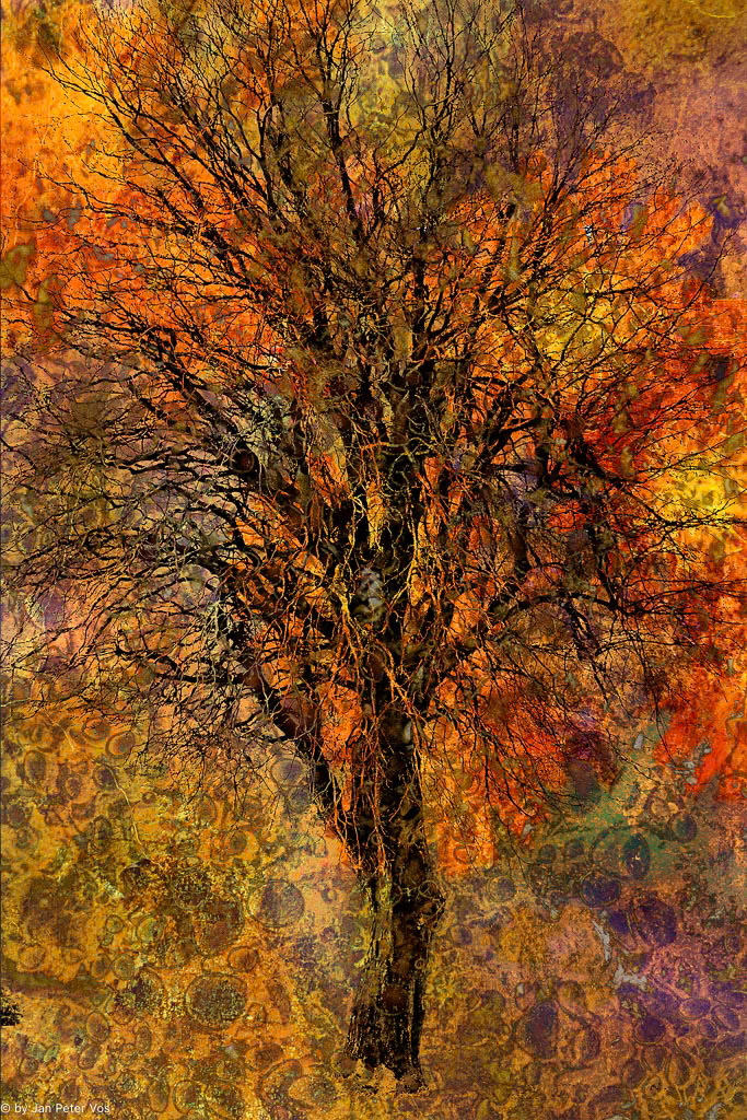 A Fiery Temper, 400944-200