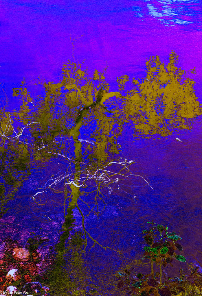 Reflections, 408537-103