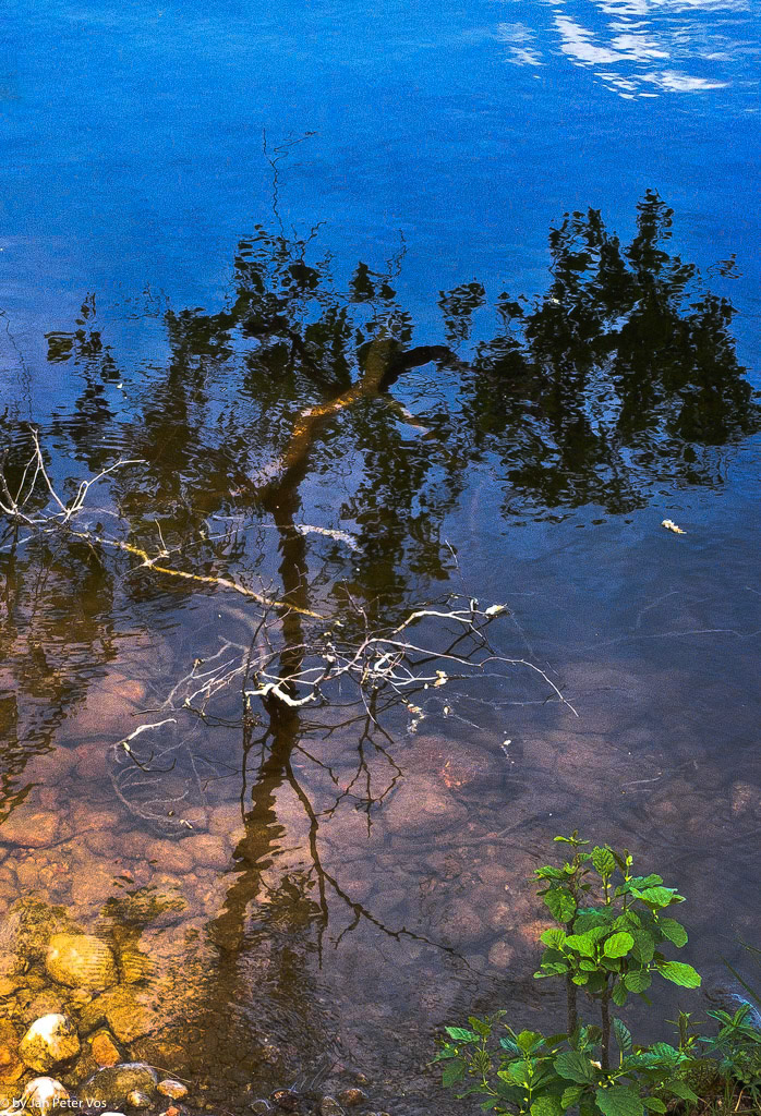 Reflections, 408537