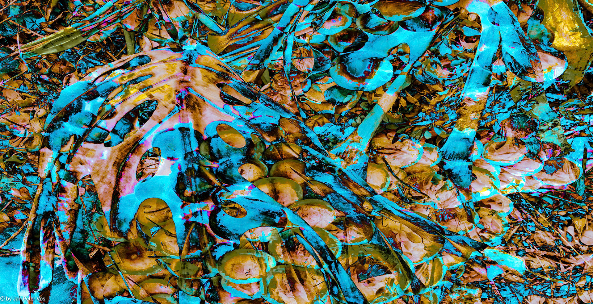 A dynamic Thought, 410321-104-100