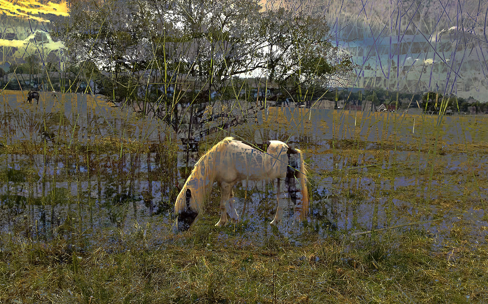 The Beauty and the Tree, 411985-109