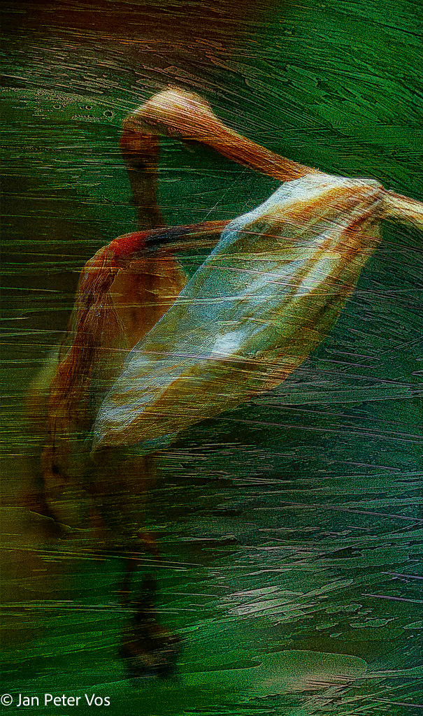 The Autumn Dancer, 407821-102