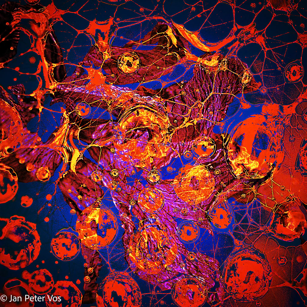 Considerations of my Dragon, 408340-207