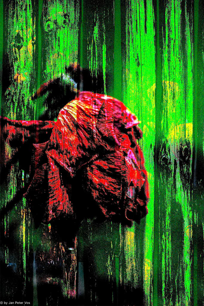Grief, 405988-113