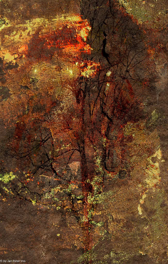 A Shade of  Autumn, 400940-100