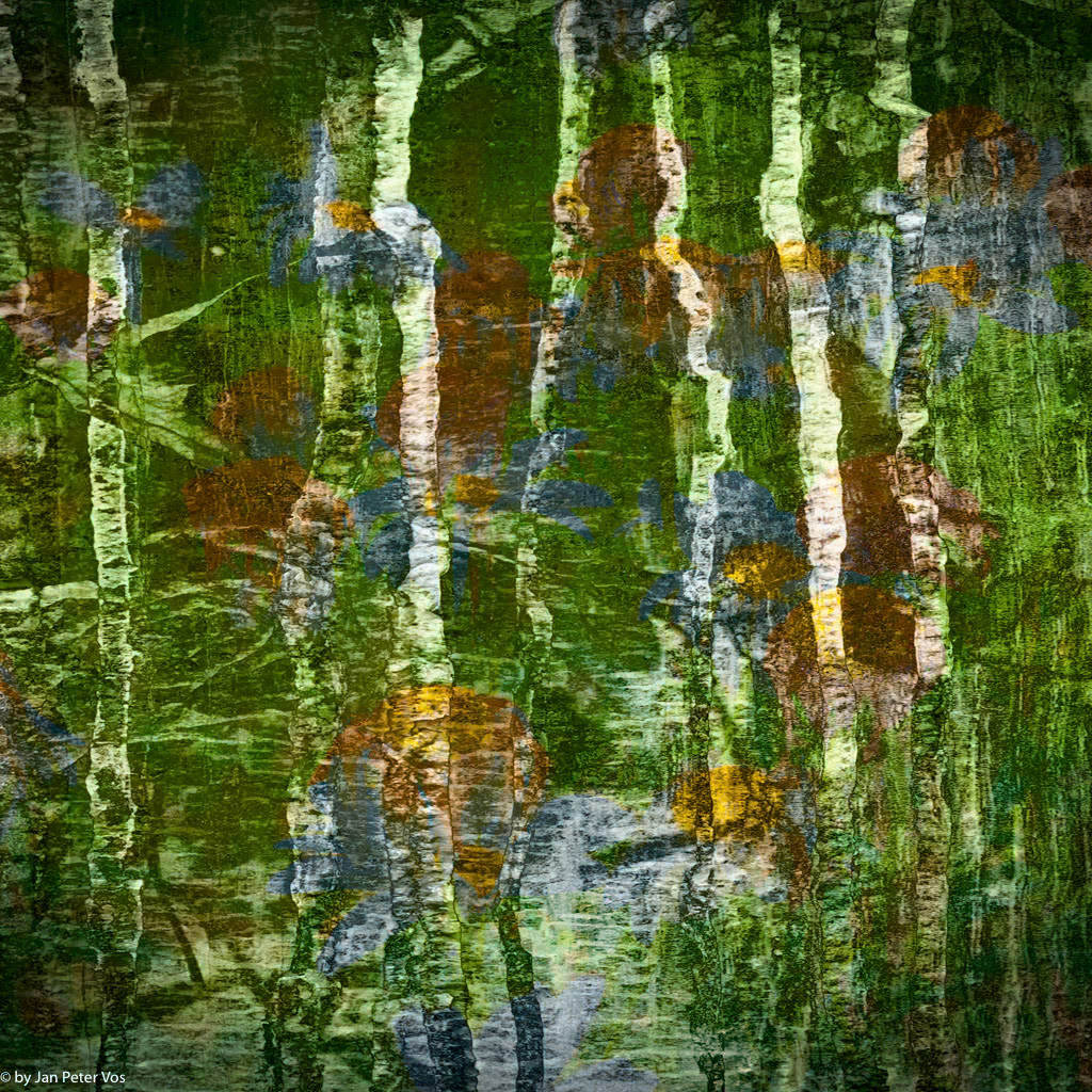 Drawing Lines, 411423-106