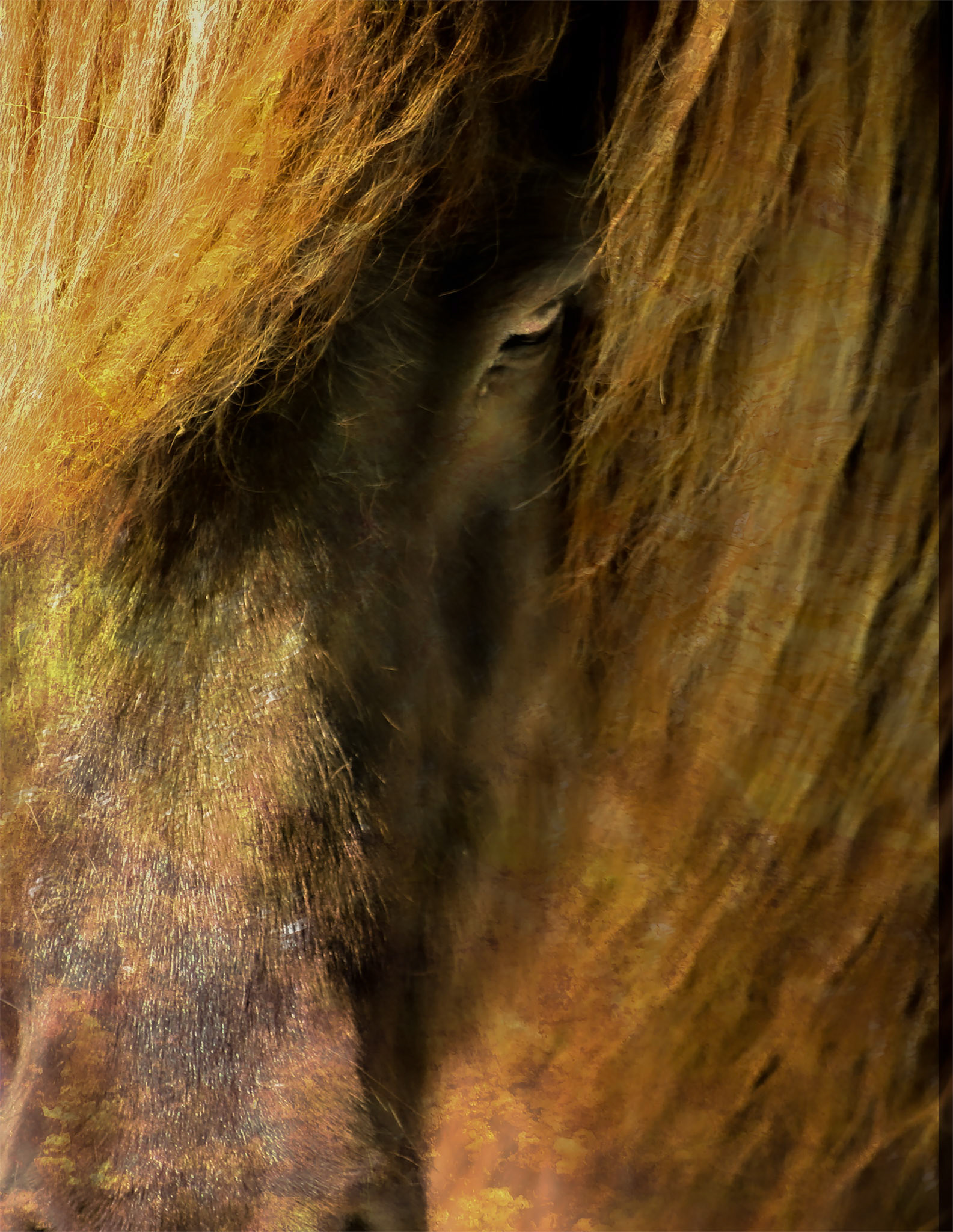 Looking into your Eyes, 411988-100