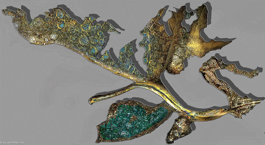 Seahorse Flying, 403969-100