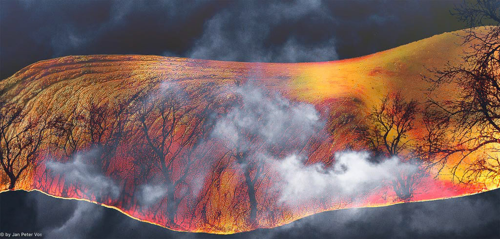 The Fire from Within, 404755-100