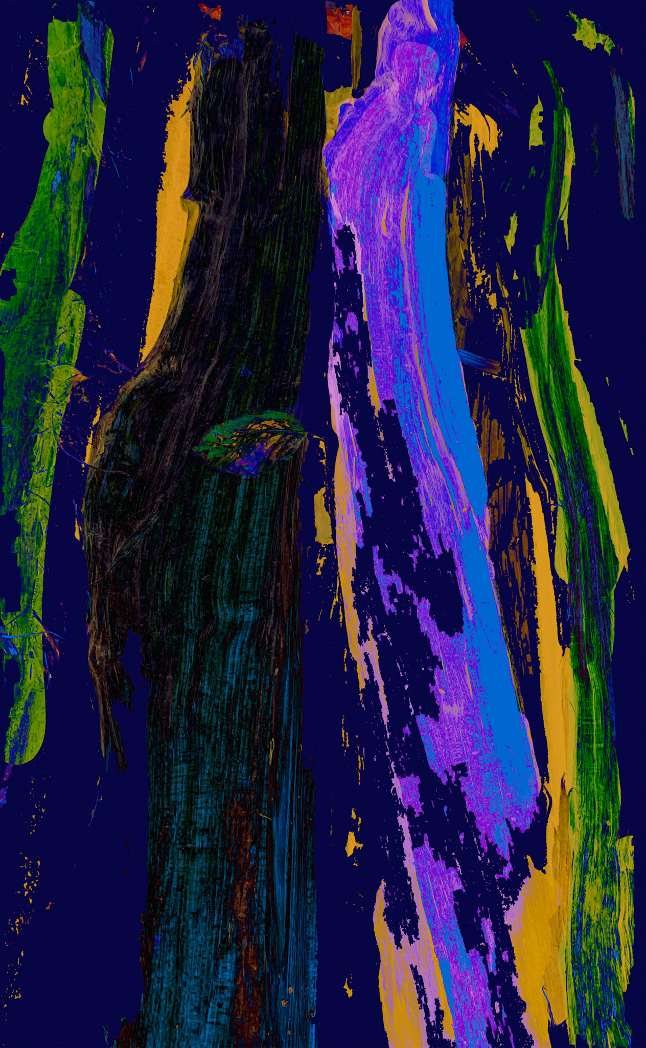 The Dark Site of the Voyage, 411658-519