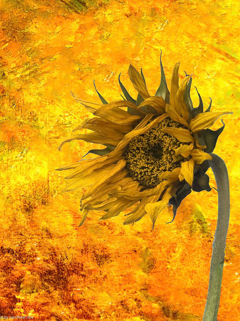 Windy, today!, 411426-103