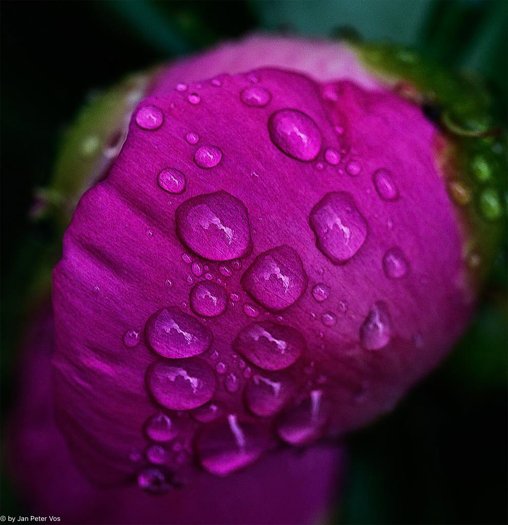We are the Drops, 405152-101