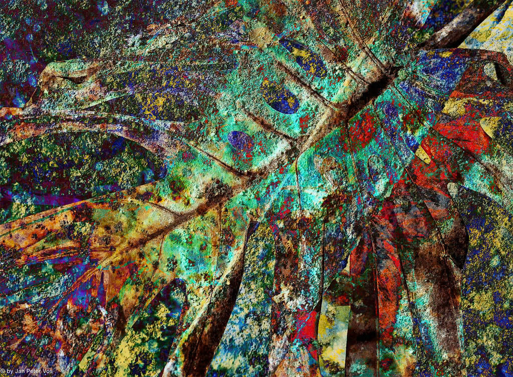 A prehistoric Impression, 410427-113