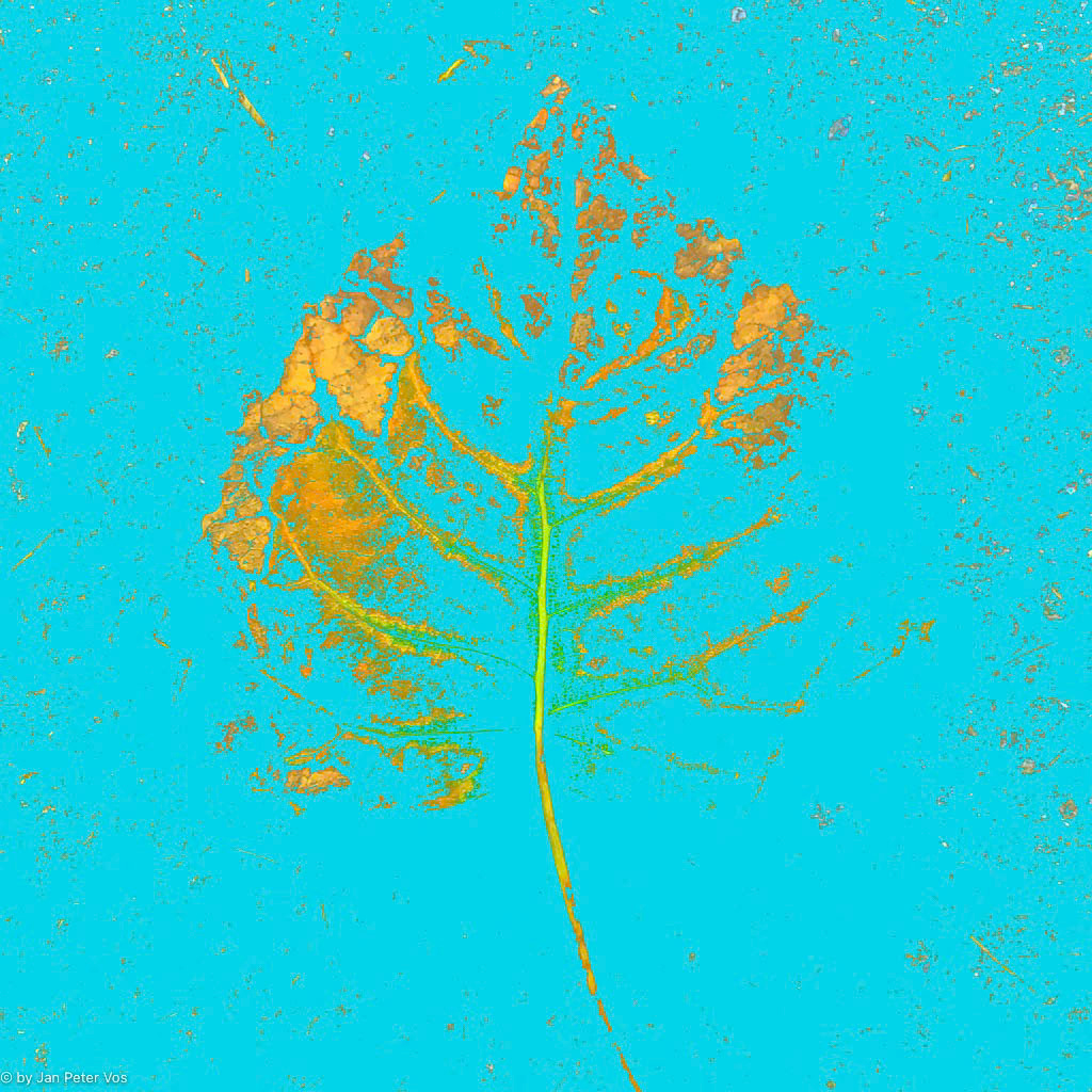 The Subtlety of Transition, 411538-113