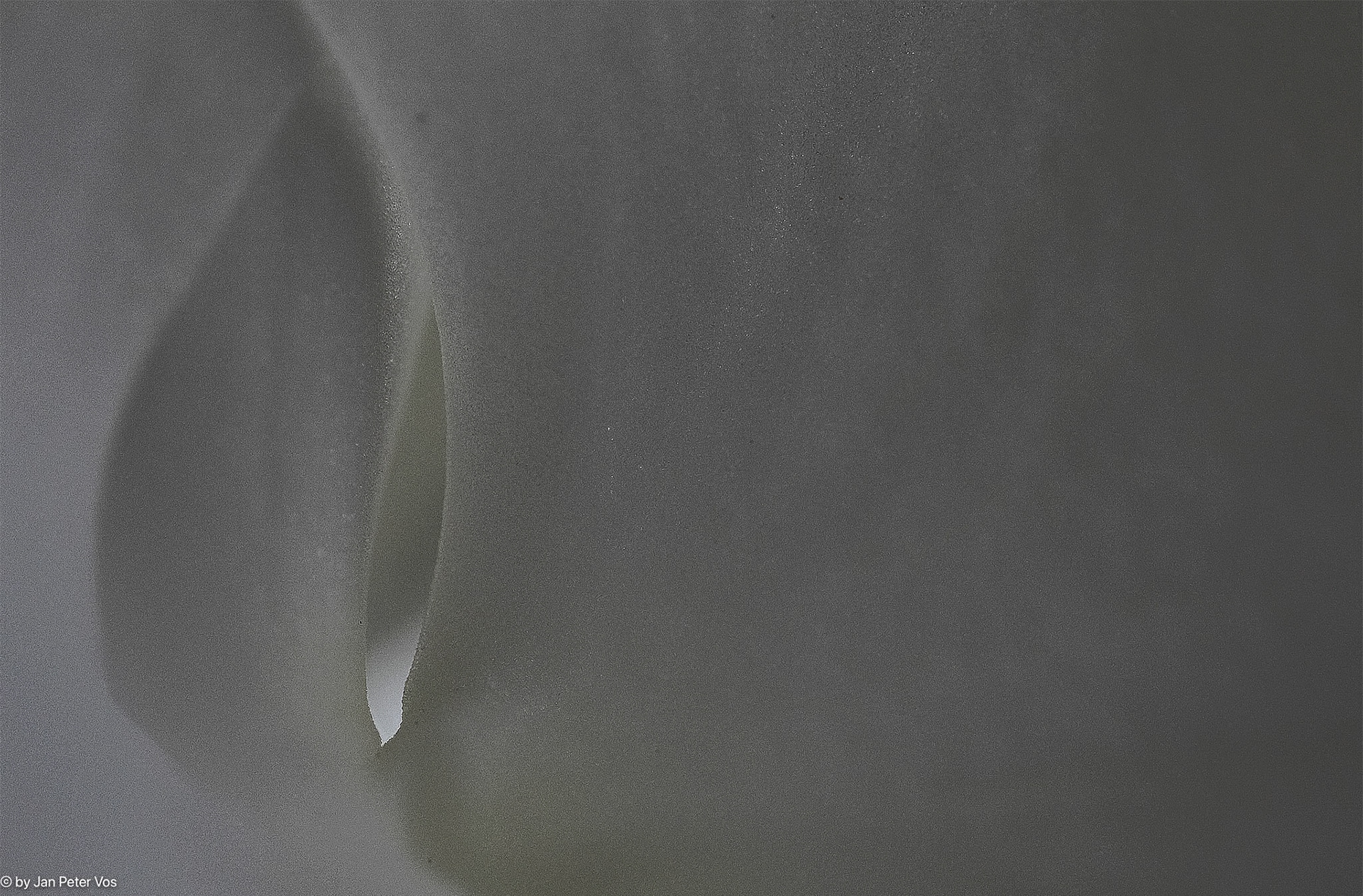 The Sound of Silence, 405125-100.psd