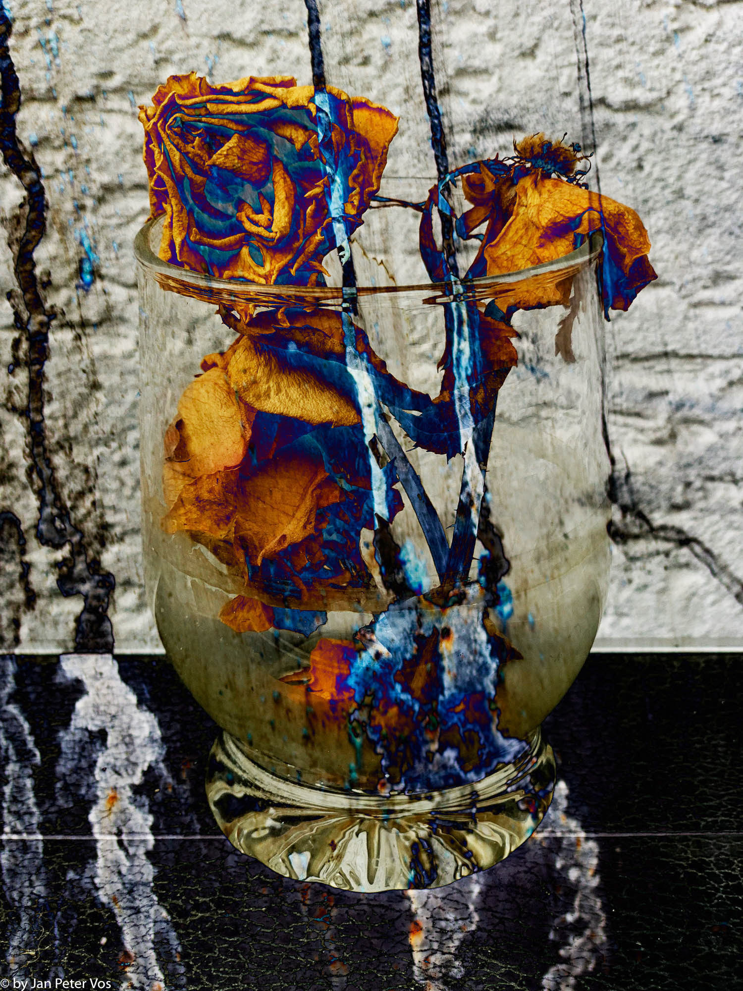 Rose in a Glass, 411428-110