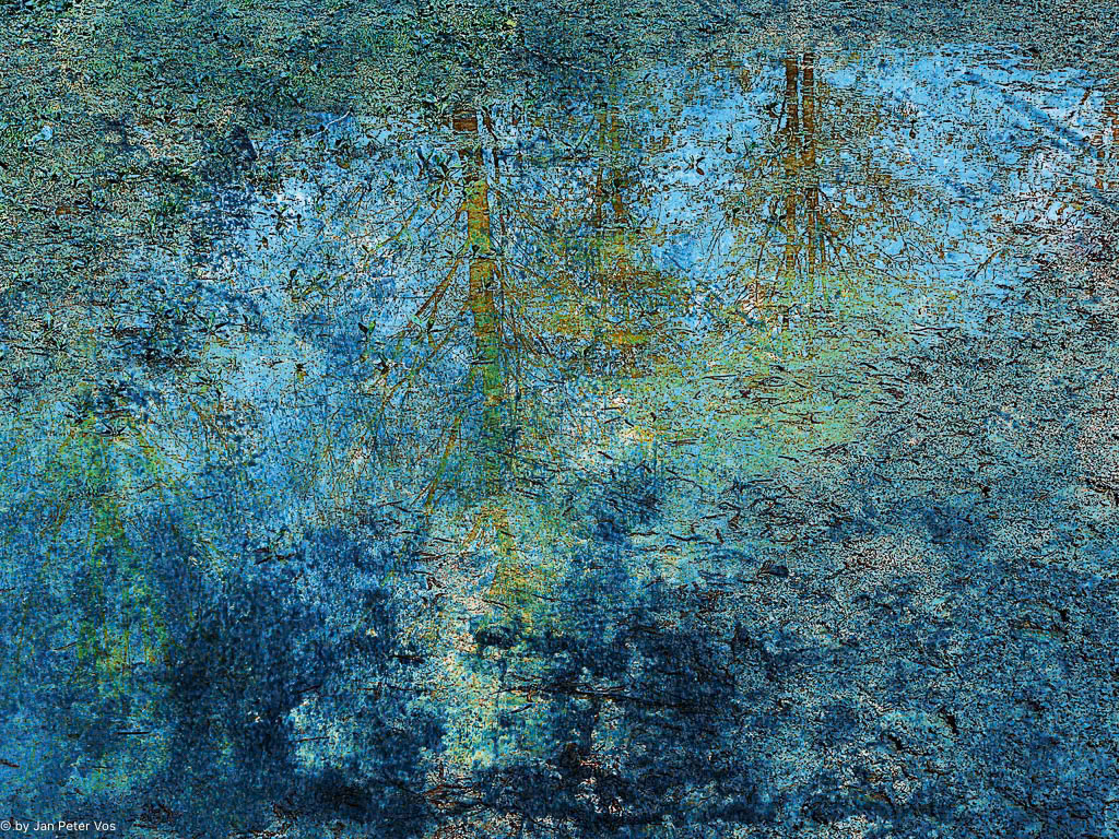 Reflections of a Puddle, 411413-207