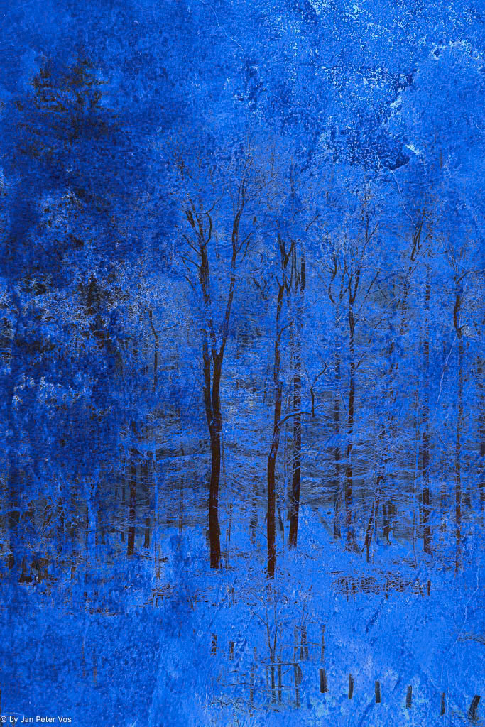 Winter Blues, 401222-100