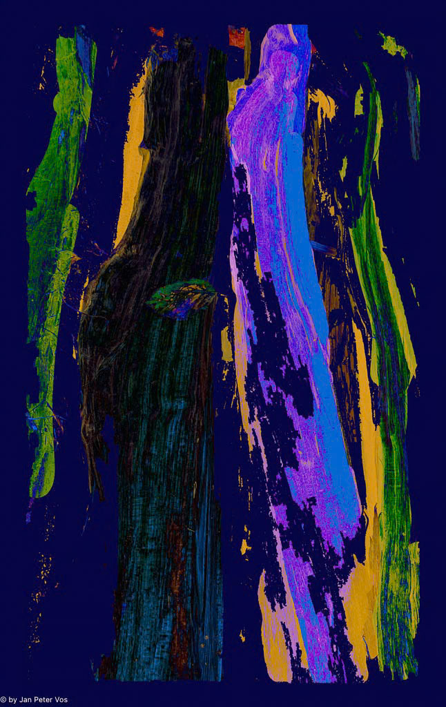 The Dark Site of my Voyage, 411658-519