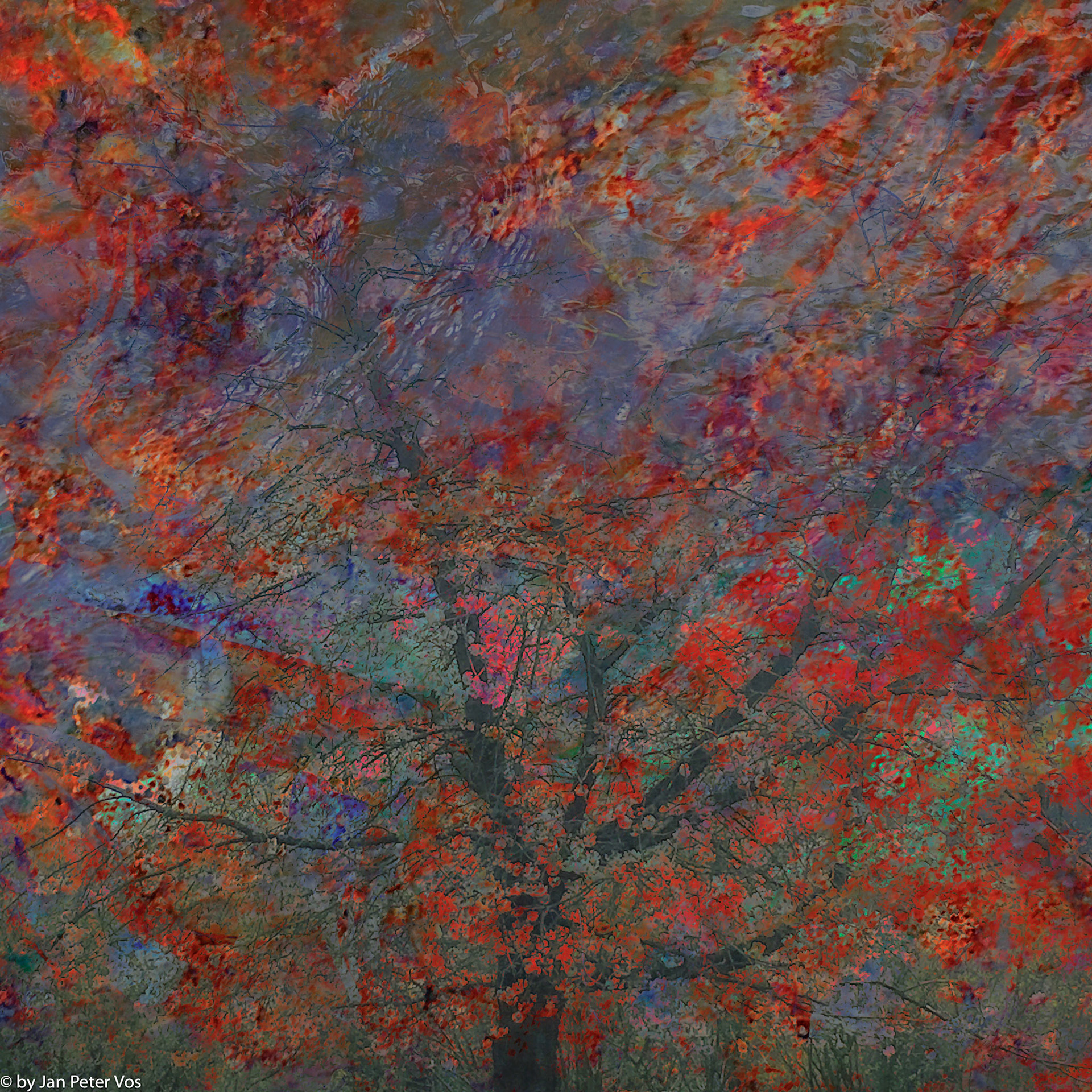 A Veil of Emotions, 410865-31-2