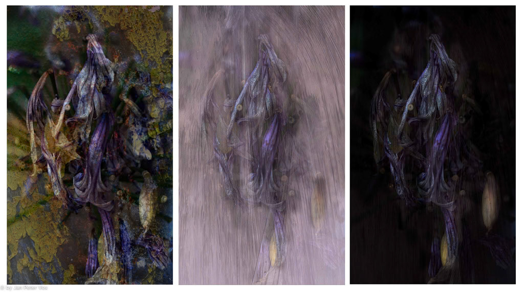 Metamorphosis: 60x100cm