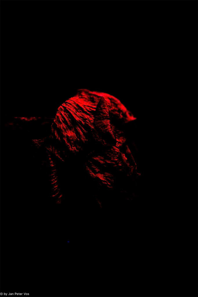Solitude, 405988-111