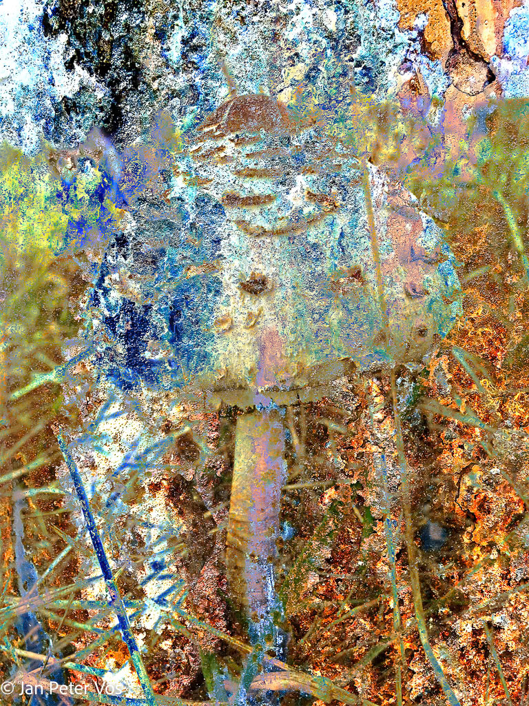 Celebrating Autumn, 408513-100