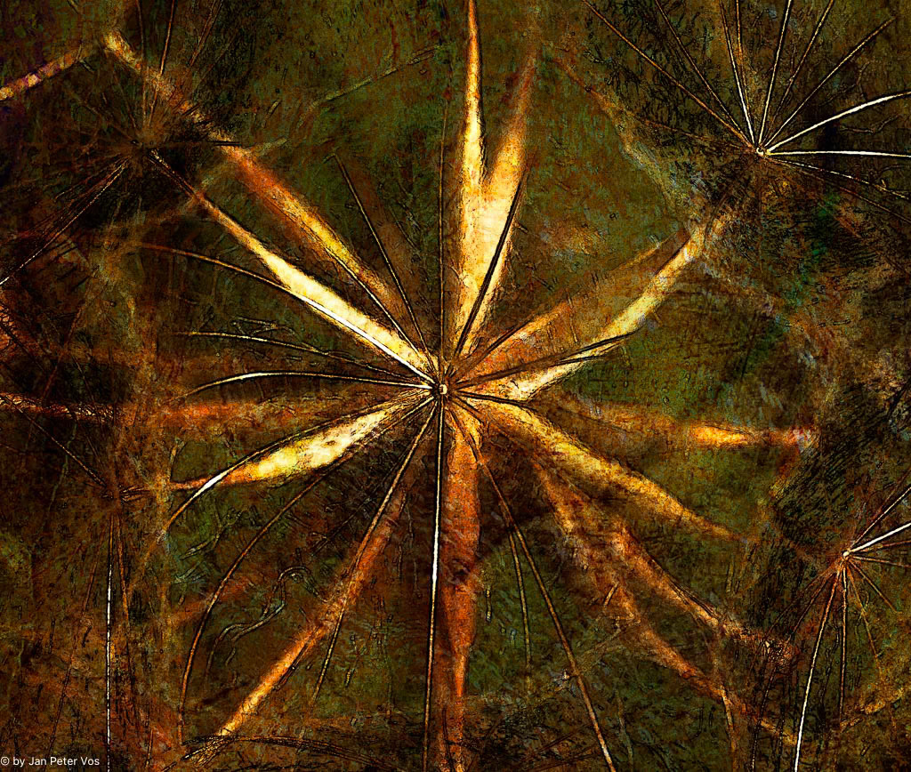 Autumn Magic, 406548-102