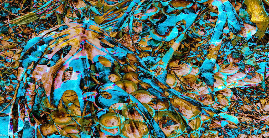 A dynamic Thought, 410321-104-100