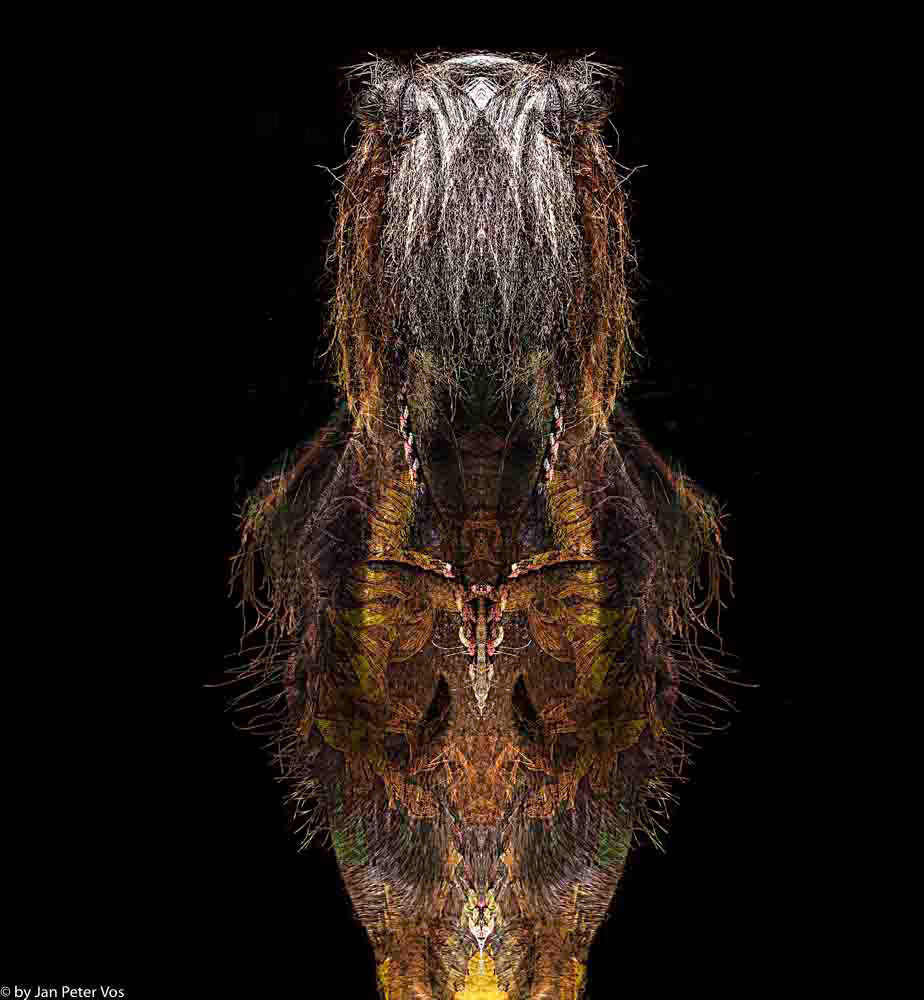 Ghost Rider: 130x100cm