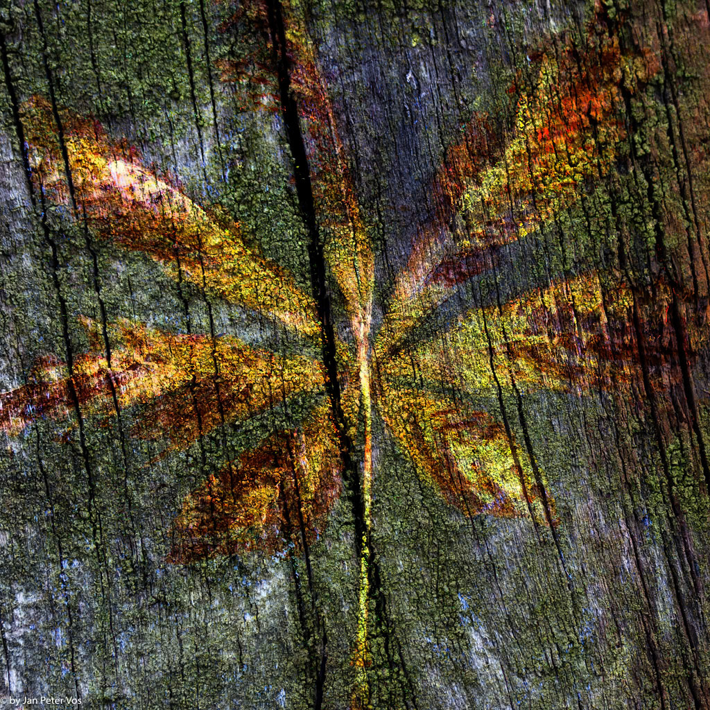 Poetry of Autumn, 400485-100