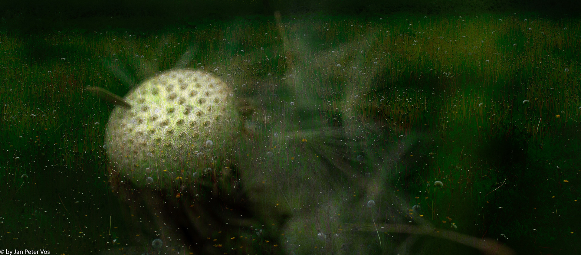 The Mystics of Taraxacum, 406988-3