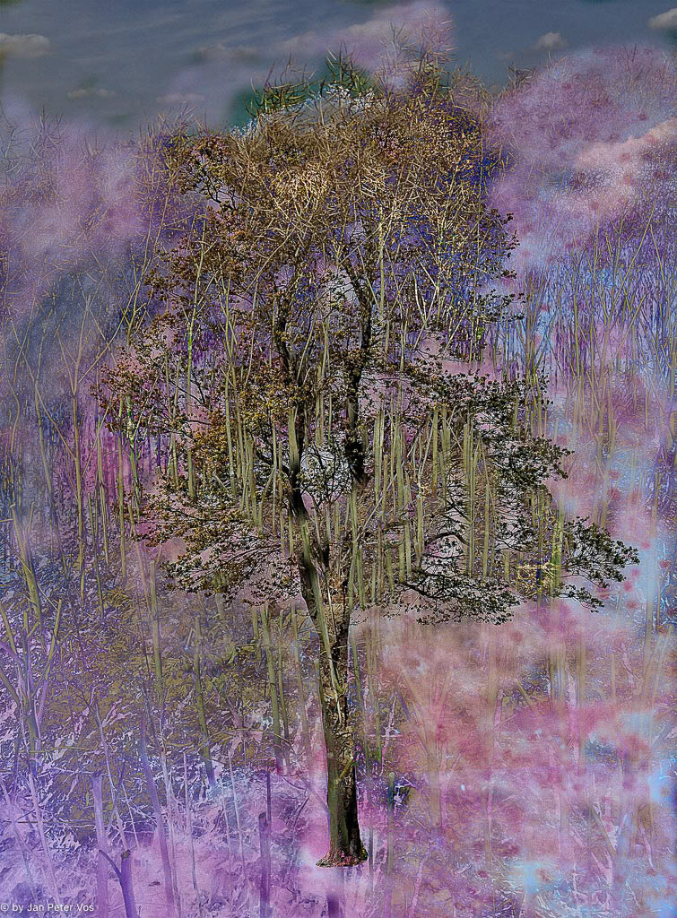 Praying Goddes, 407120-100