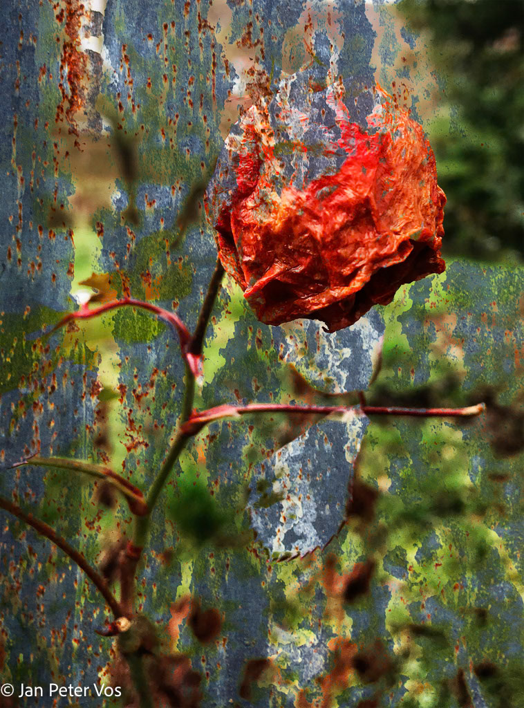 Fury of Destruction, 408441-101