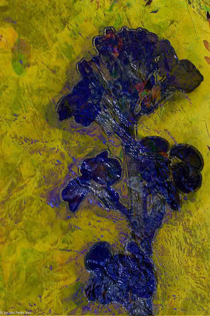 Bergenia in Blue: 90x60cm