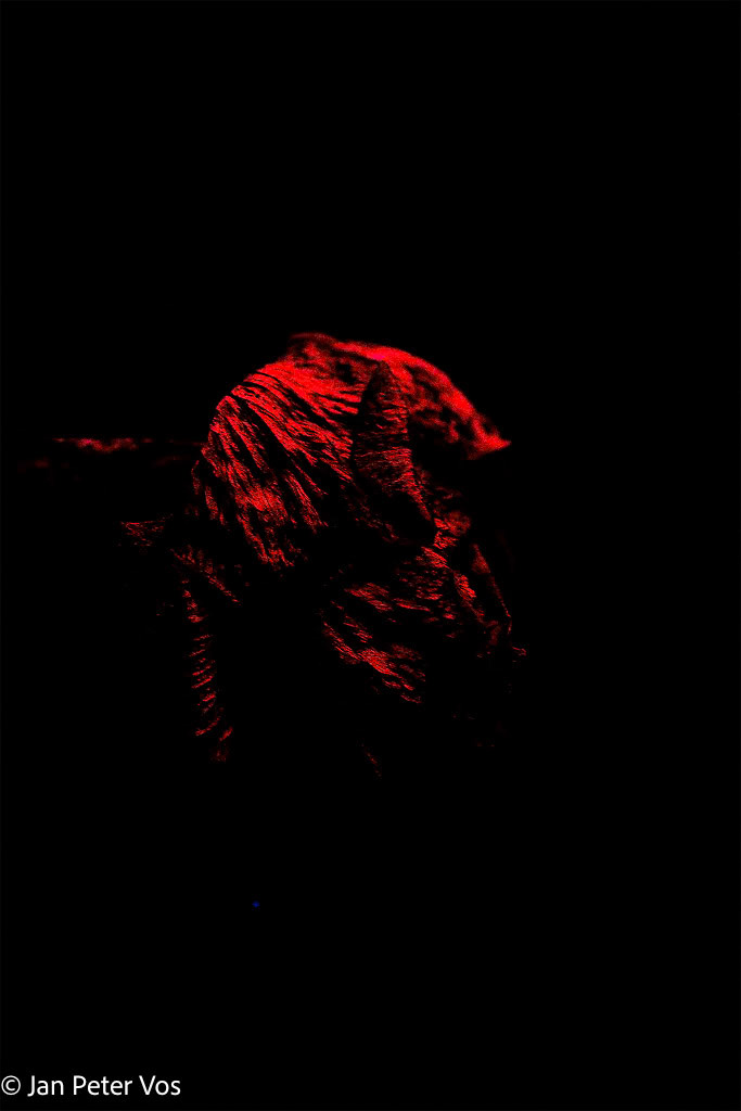 Solitude, 405988-101