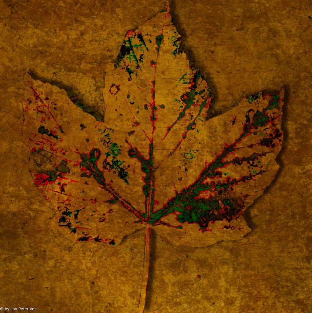 Nature´s intriguing Simplicity: 100x100cm