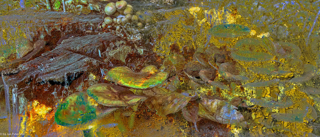 Celebrating Autumn, 403171-103