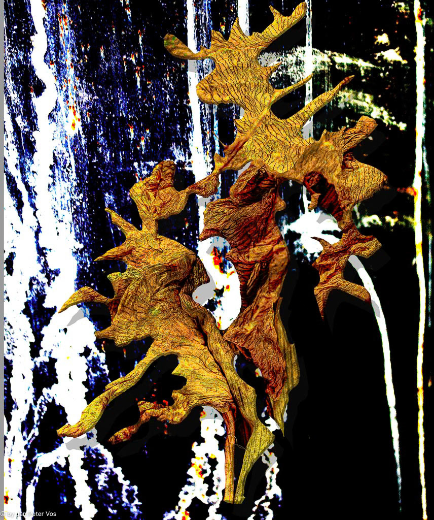 Mother &amp; Daugther, 408349-206