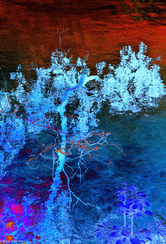 Reflections, 408537-106