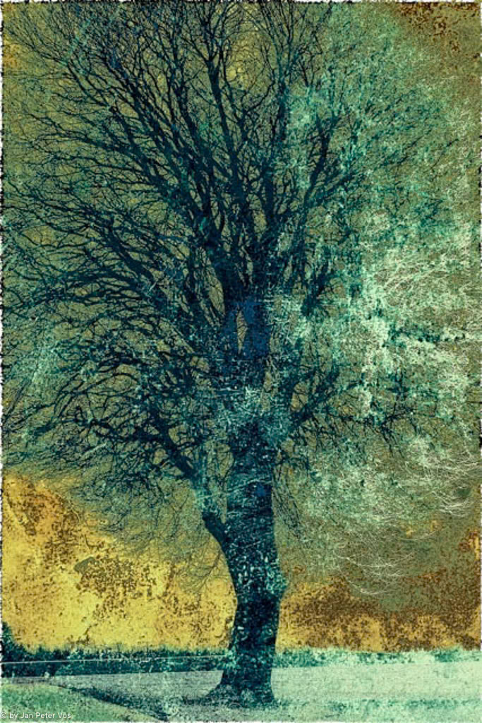 Majestic Calm: 150x100cm