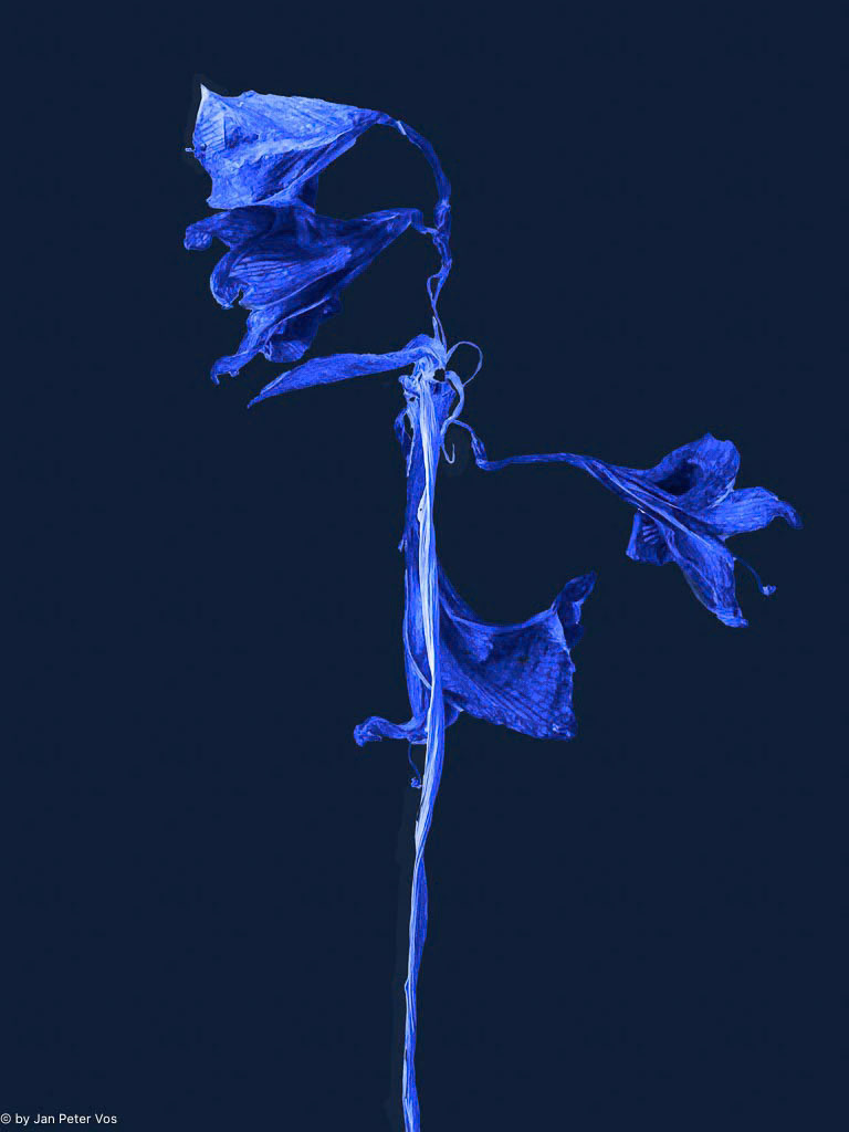 An Interpretation of Delft Blue, 410958-111