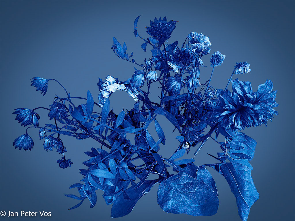“My Bouquet for You”, 411204-415