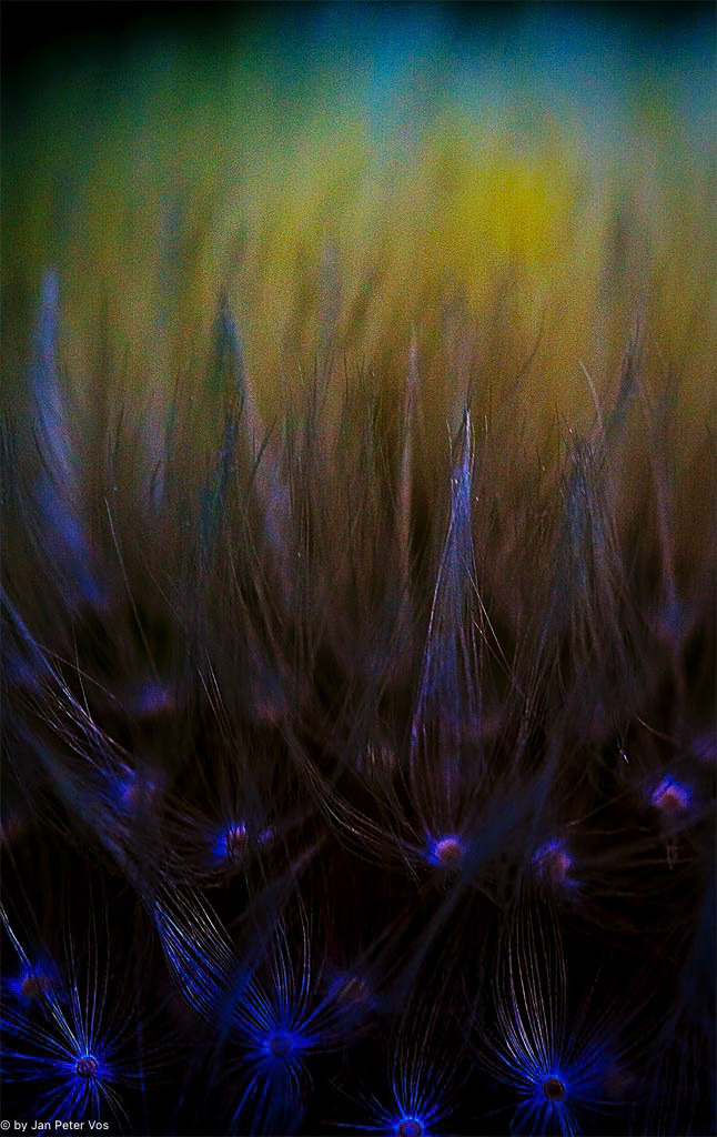A Touch of Blue, 407018-102