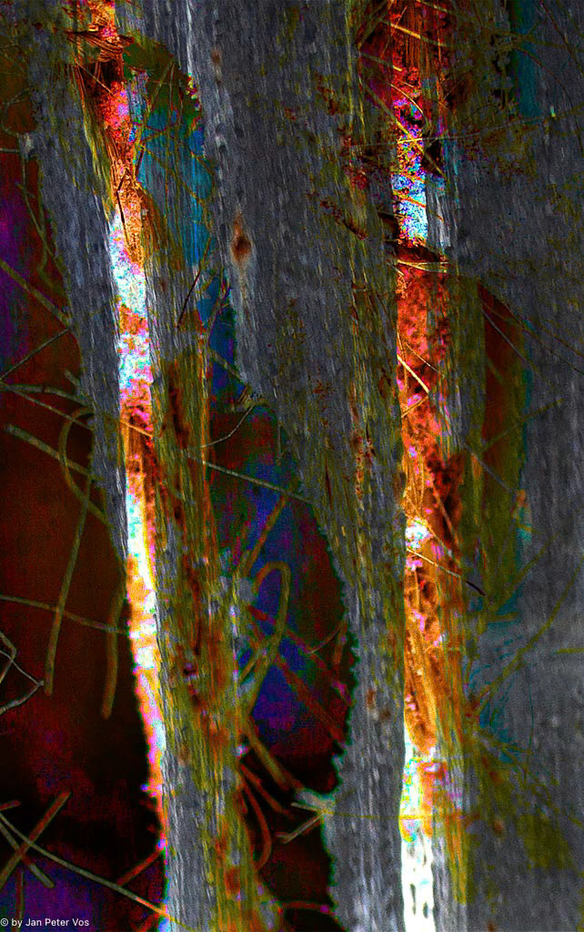 Magic Lines, 410535-200-102