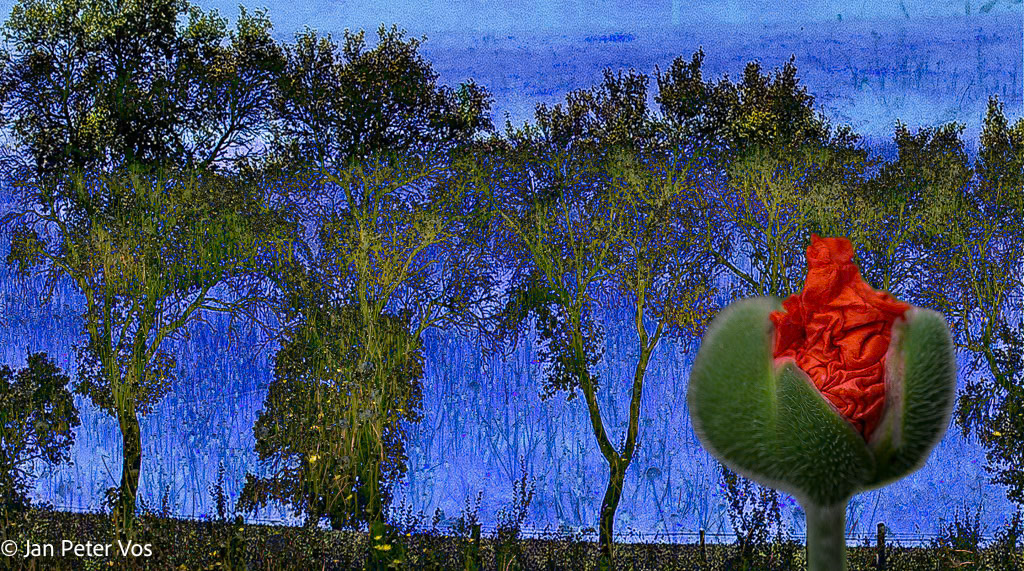 The Tale of Spring, 405610-108