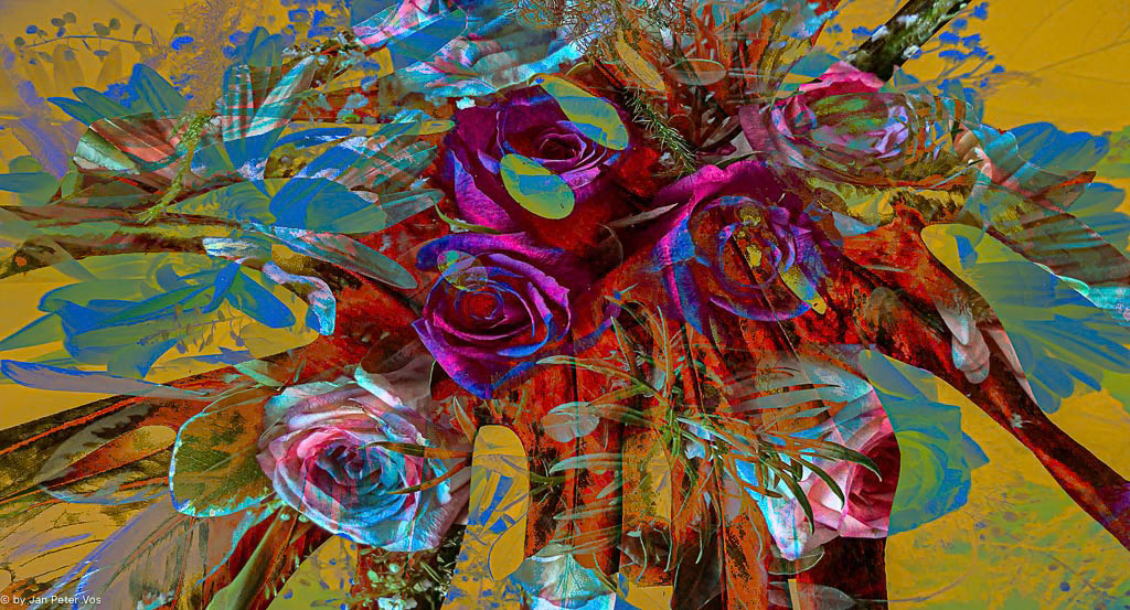 Delight, 410427-114-100