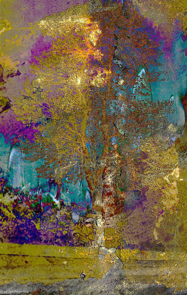 Enlightment, 400969-100